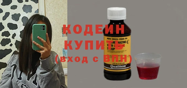 дживик Осташков