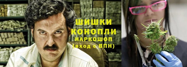дживик Осташков