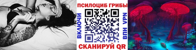 Галлюциногенные грибы Magic Shrooms  Купить закладки  Кольчугино 